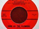 DOO WOP - HI-TONES - SURE AS THE FLOWERS b/w GIRLS - SEG-WAY 45 - 1961