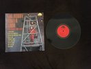 The Bobby Fuller Four “I Fought The Law” 33RPM Vinyl Record