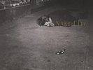 John Zorn - Naked City 852545003349 (Vinyl Used Like New)