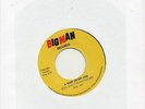 BULL & THE MATADORS  A PART OF MY LIFE / MY BABE   BIG MAN Re-Issue  NORTHERN