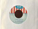 THE CHERRY SLUSH Garage Psych Mod 45 I CANNOT STOP YOU   U.S.A.