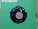 LOS BRILLOS GARAGE MEXICAN 45 ME VAS A MATAR (DON'T BRING ME DOWN ANIMALS COVER)