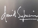 *RELISTED* David Sylvian 