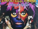Sonrisa Salvaje by David Lee Roth (Vinyl LP, 1986, Warner USA)