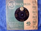 ELVIS PRESLEY-MYSTERY TRAIN/I FORGOT TO REMEMBER... 