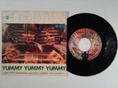 OHIO EXPRESS BUBBLEGUM MUSIC DA LULU YUMMY YUMMY ITALIAN LANGUAGE 7
