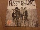 PUSSY GALORE Groovy Hate F*ck Feel Good About Your Body 1987 UK Vinyl LP EXCELLE