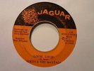 TOOTS AND THE MAYTALS Louie Louie JAGUAR Skinhead Funky Reggae 7