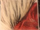 kings of leon- sex is on fire ???? 7” vinyl near mint/ rock/ black crowes