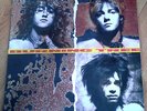 BURNING TREE Burning Tree  ORIGINAL 1990 DUTCH LP Marc Ford Black Crowes