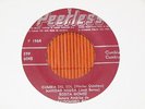 ROSITA GOMEZ CUMBIA DEL MONTE??CUMBIA JUNGLE MONSTER KILLER AFRO POWER BEAT HEAR