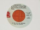 ORG GENESIS LAS CALEÑAS??CUMBIA ORGAN CRAZY BREAKS MEXICAN CUMBIA BEAT??