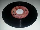 BLANK[CRYSTAL]/HAIL I - BONGO HERMAN & BONGO LES [REGGAE INST.]  7
