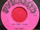THE FAMES  TWO TIMING LOVER   PYRAMID   RARE 45   NC R&B NORTHERN SWEET SOUL