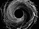 DAWN OF MIDI-DYSNOMIA  VINYL LP NUOVO