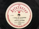 Muddy Waters I Can't Be Satisfied/I Feel Like Going Home 10
