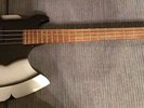 KISS Gene Simmons Cort Axe Bass II with picture Gigbag