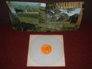 DAYLIGHT 1st LP 1971 RCA 1st Press  MINT  ACID FOLK PROG  CLIVE PALMER COB