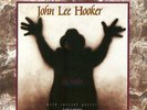 JOHN LEE HOOKER - THE HEALER - NEAR MINT