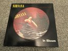 Nirvana In Bloom Strictly Limited Edition 12” Picture Disc