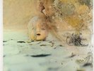 After All - S/T LP - Athena - Prog Psych