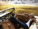 Born Free Double Vinyl -  Kid Rock - WITH BONUS CD - RARE