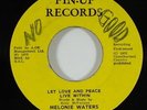 Melonia Waters 