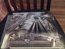 Steely Dan Royal Scam ABC Original Colored Vinyl Shrink Mint Never Played Lp