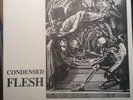 Void Condensed Flesh 7” Rare Blue Vinyl Punk Hardcore Discord Dc Minor Threat