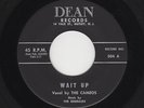 '60 R&B/Rockin' DooWop CAMEOS Wait Up/Lost Lover DEAN Original Lbl. M- HEAR BOTH