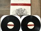 Moneen - The Red Tree Vinyl 2xLP EX, emo, copeland alexisonfire