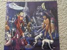 Cathedral - Forest of Equilibrium - Gatefold Vinyl - Mosh 43 - First Printing 