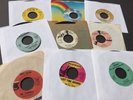 60s Psych Garage Rock  Singles - rare 45s / 7in VG, Del-Vetts - Last Time Around