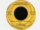 THE SOUND OF VISION What So Never the Dance on House Guess Funk 45 Hear