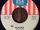 THE SKUNKS Elvira / The Journey 45, RARE 1967 GARAGE Milwaukee, WI USA Records