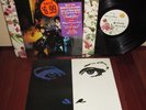 PRINCE & THE REVOLUTION  
