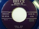 MASTER-TONES 45 Tell me / What'll you do BRUCE (Blue wax 2nd) Doowop Kz 173