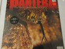 Pantera 