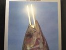 REO Speedwagon - You Can Tune A Piano, But You Can't Tuna Fish LP Mint- JE 35082