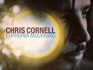 CORNELL, Chris - Euphoria Mourning - Vinyl (LP)