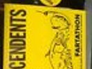 DESCENDANTS Live 1987 ALL Jerks MISFITS NOFX AFI KBD PUNK VINYL RECORDS FLAG