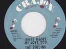 Northern Sweet Soul 45 - SEQUINS - What Makes Me Love You / Where's Your ...