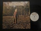 THE ALLMAN BROTHERS BAND - BROTHERS AND SISTERS - STAMPA USA - LP VINILE