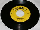 VERY RARE WISC. GARAGE ROCK / THE CHAIN GANG / 