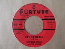 DOCTOR ROSS & THE ORBITS - CAT SQUIRREL/THE SUNNYLAND - U.S. 45