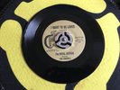 Vinyl 45 - The Royal Jesters - Love Me - I Want To Be Loved VG+