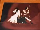 The White Stripes Elephant 12