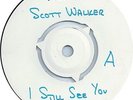 Scott Walker “I Still See You