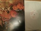 CECIL TAYLOR UNIT LIVE IN VIENNA CARLOS WARD WILLIAM PARKER LEROY JENKINS 2 LP