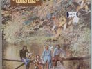 NEW - Wings (Paul & Linda McCartney) - Wild Life (Vinyl LP 1971, Apple SW 3386)